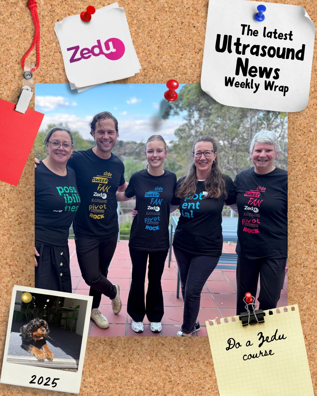 The Zedu weekly wrap - bringing together the best in free ultrasound news, views and opinions from across the internet.