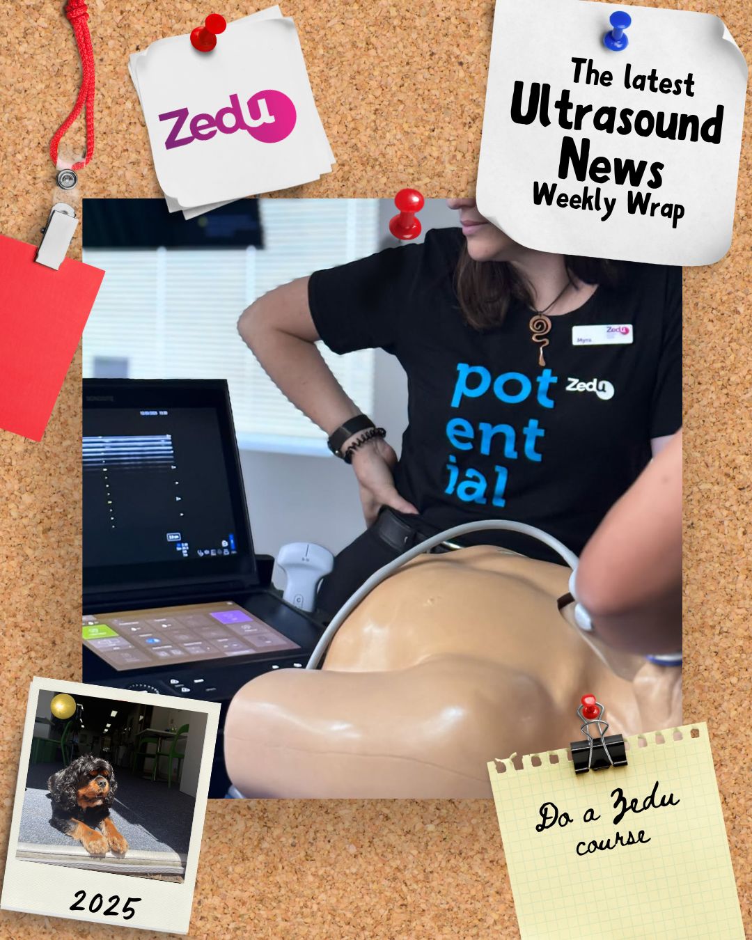 The Zedu weekly wrap - bringing together the best in free ultrasound news, views and opinions from across the internet.