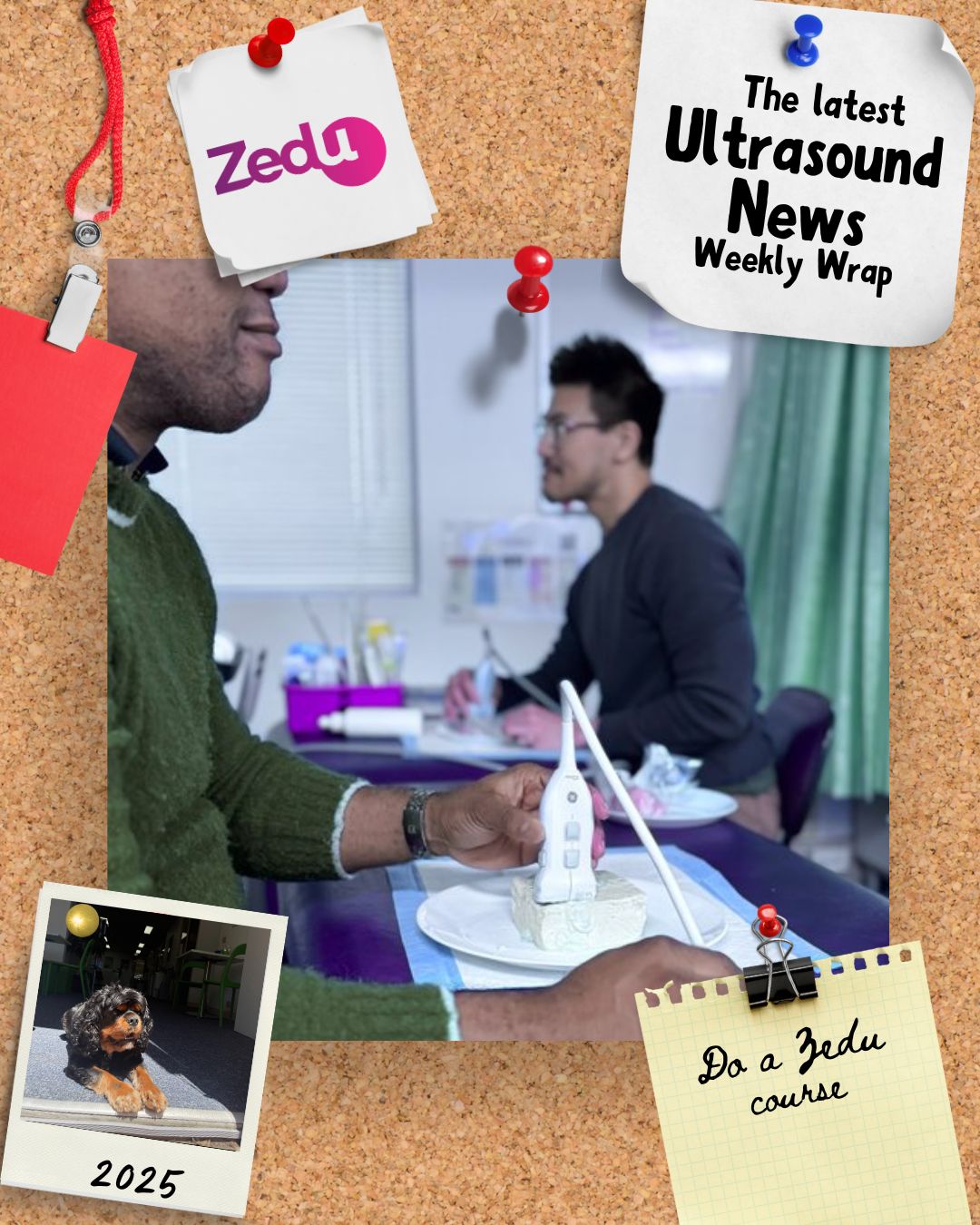 The Zedu weekly wrap - bringing together the best in free ultrasound news, views and opinions from across the internet.