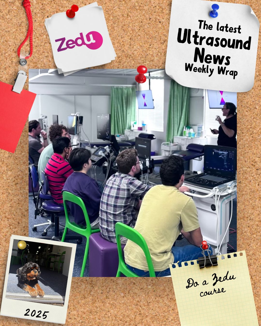 The Zedu weekly wrap - bringing together the best in free ultrasound news, views and opinions from across the internet.