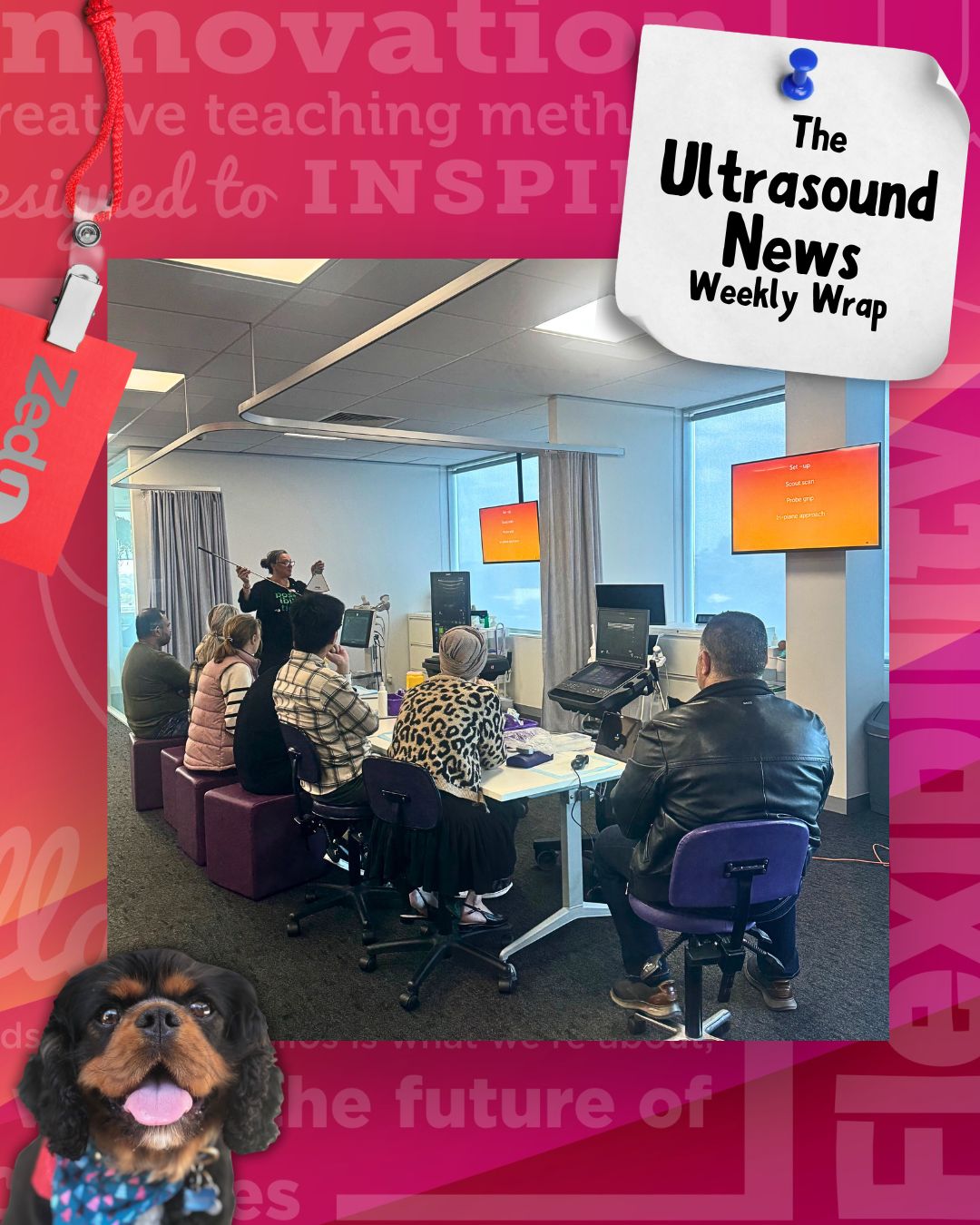 The Zedu weekly wrap - bringing together the best in free ultrasound news, views and opinions from across the internet.