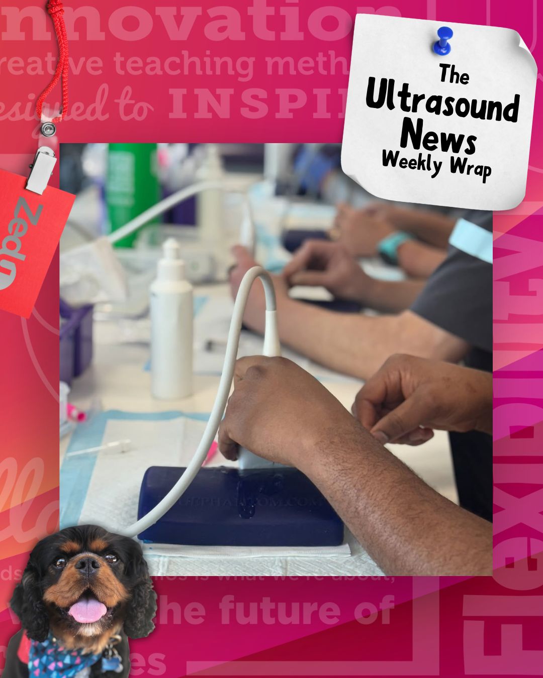 The Zedu weekly wrap - bringing together the best in free ultrasound news, views and opinions from across the internet.