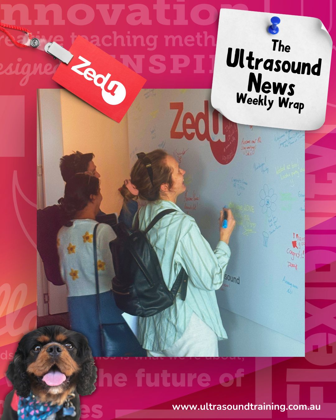 The Zedu weekly wrap - bringing together the best in free ultrasound news, views and opinions from across the internet.