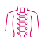Musculoskeletal
